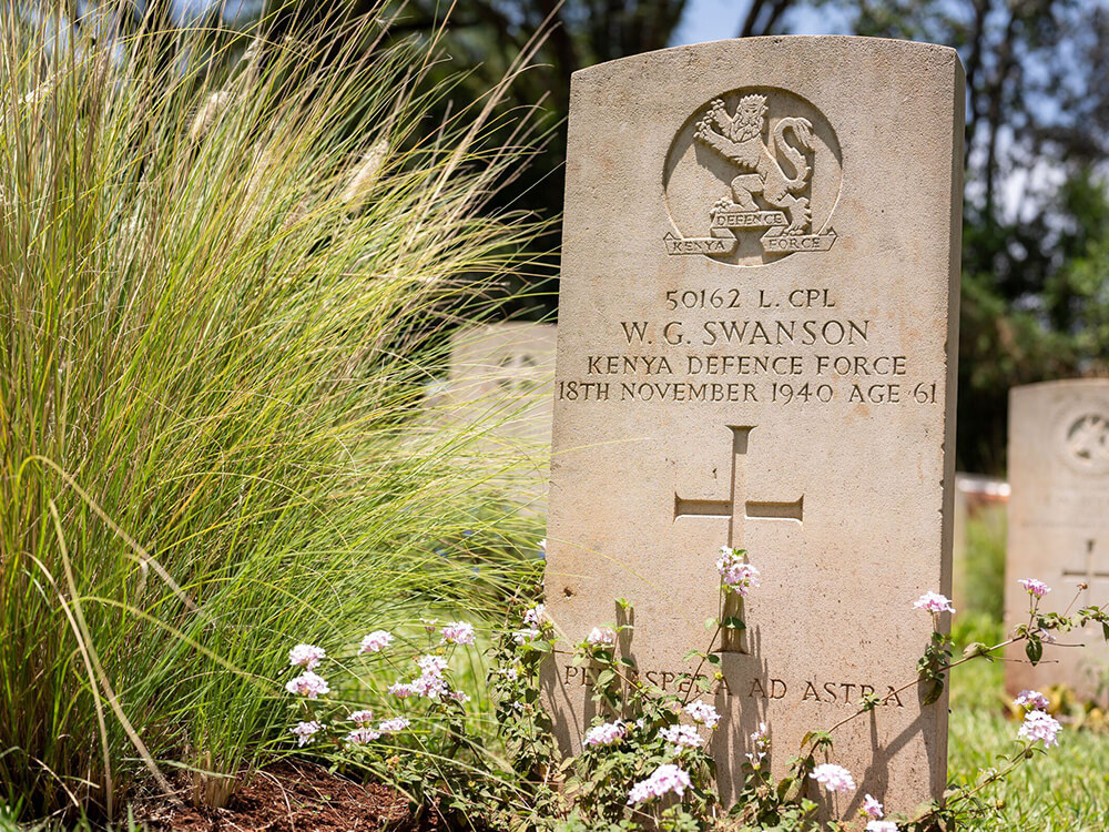 Begin your own World War research