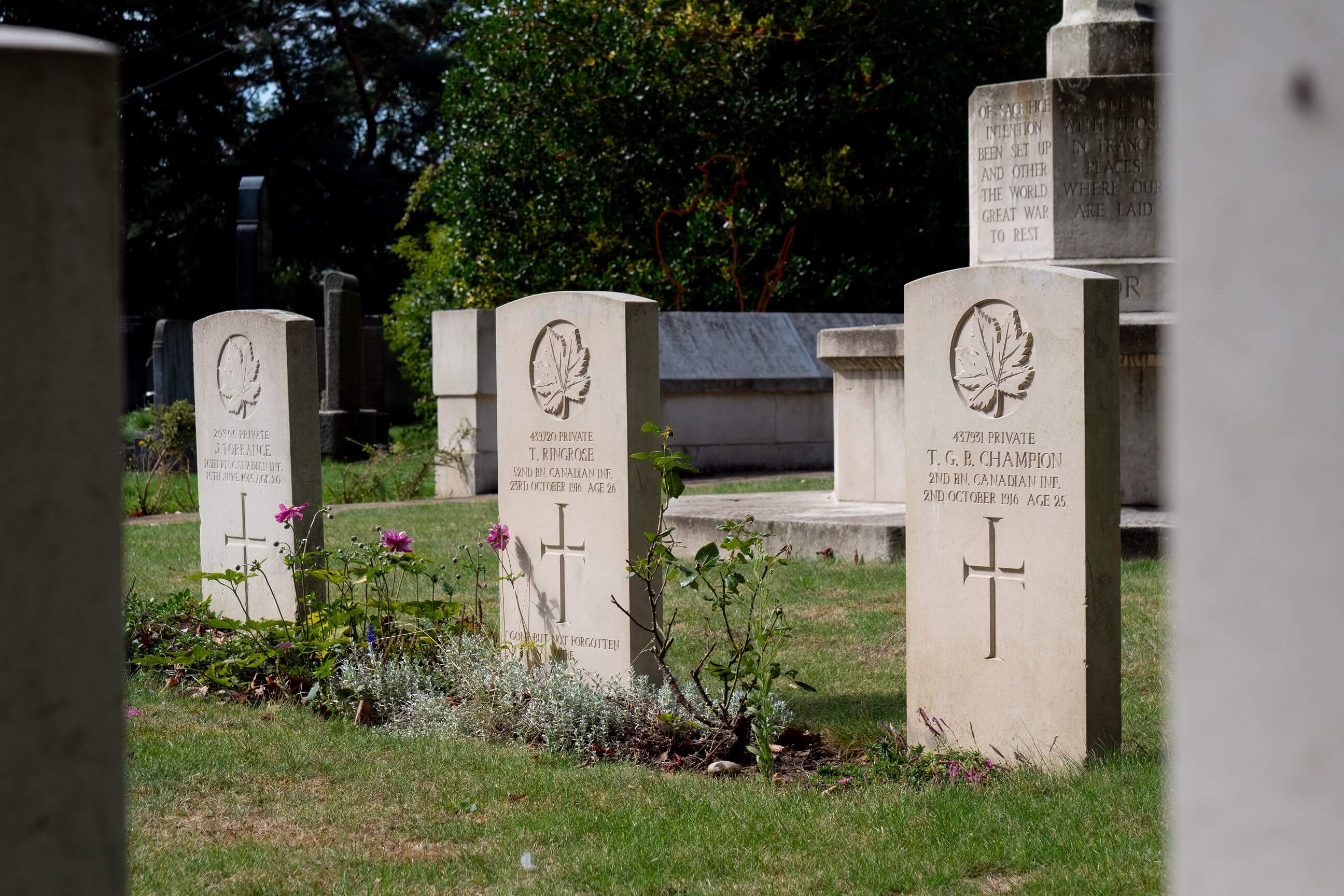 Commission Headstone