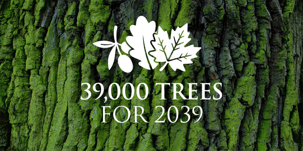 39,000 Trees for 2039