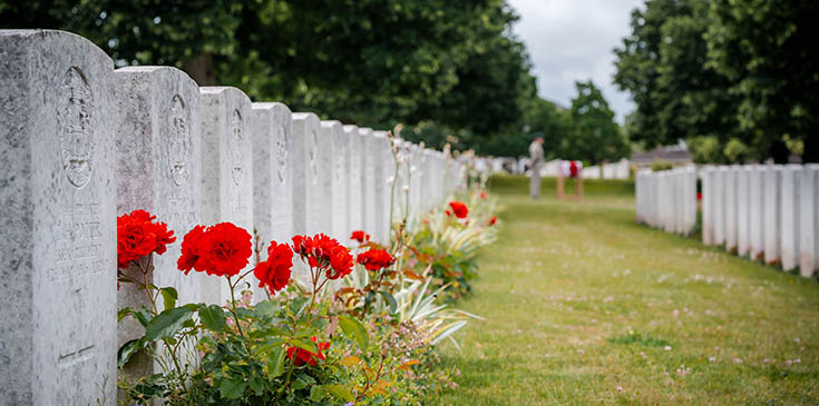 Row of CWGC headstones with red flowers blooming in the flower beds.